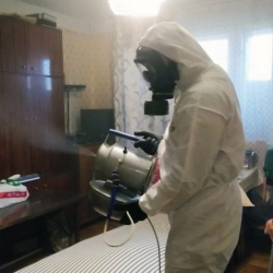 Дезинфекция от клопов в Академическом районе Москвы